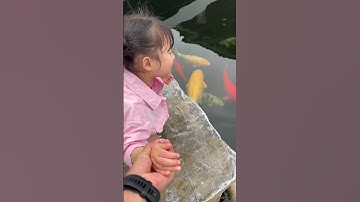 5 Bình Rượu Mơ đi xem cá #nguyenanhnang #anhduong #anhnguyet #quynhanh