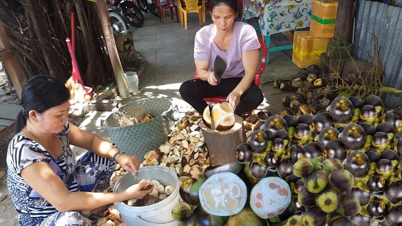 Asian PALMYRA PALM Fruit - Fresh Toddy Palm Juice - Vietnamese Fruit | Street Food And Travel