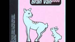 Video thumbnail of "Bran Van 3000 - Gimme Sheldon"