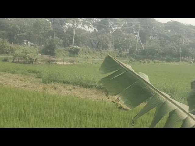121.5 Decimal Land for Sale Beside Dhaka-Chittagong Highway