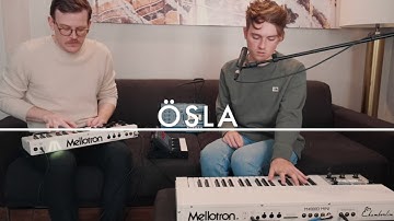 Mellotron DIY Home Tapes with Ösla