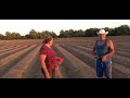 sembrando sandia y melon en guasave sinaloa