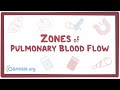 Zones of pulmonary blood flow