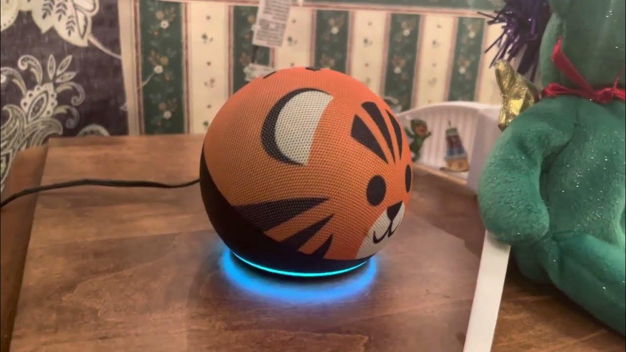 Alexa Thank My Driver (Amazon) YouTube