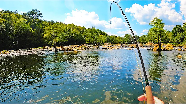 Fly Fishing: Crazy Rare NEW Species! (CATCH CLEAN ...