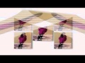رنده الكردي طبق عمري 6 سنين 