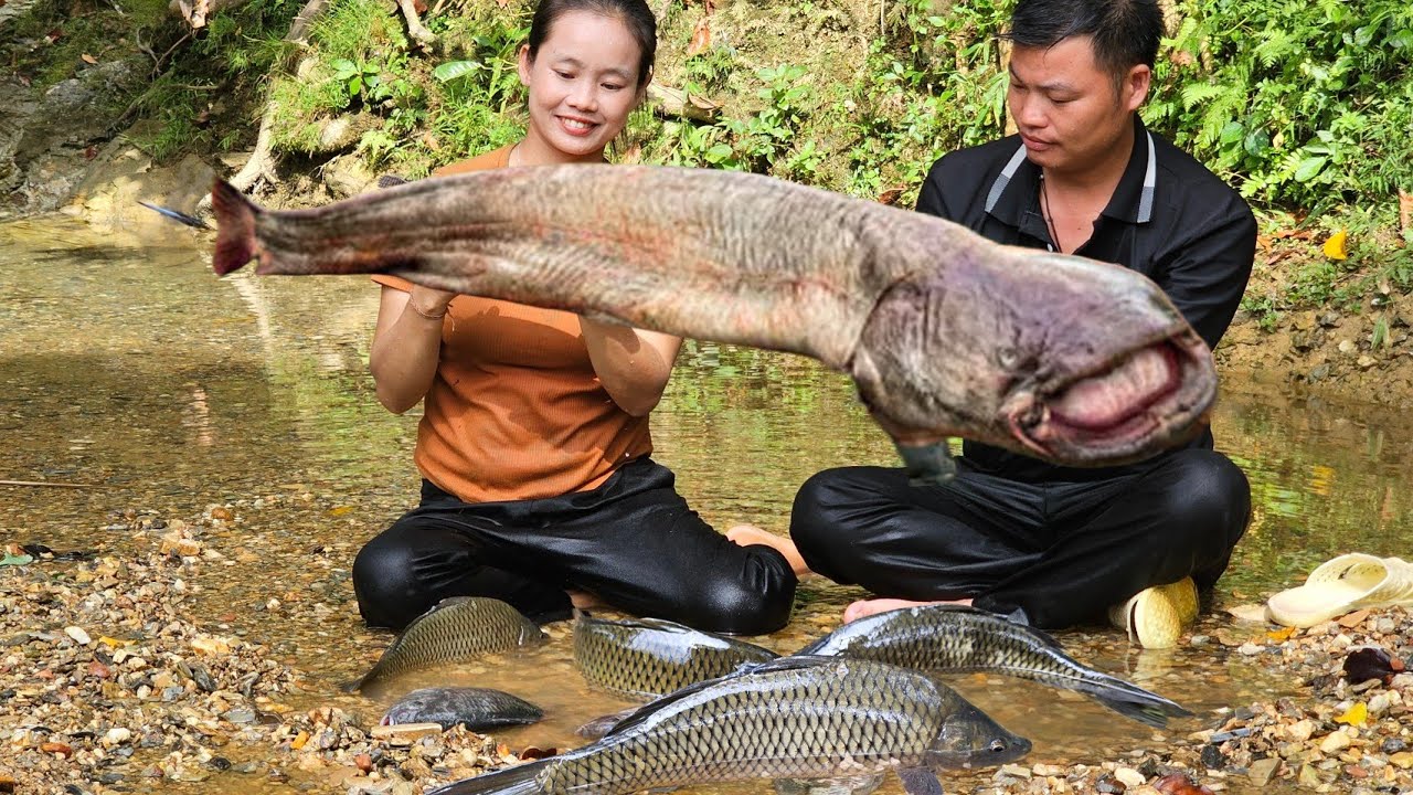 How to dig up wild plant roots and catch fish to sell. l Lý Thị Sai