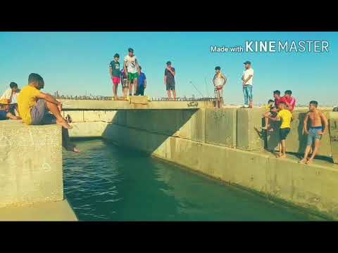 صالتوات بنغازي
