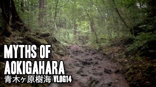 Aokigahara Jukai | 青木ヶ原樹海 | Vlog14