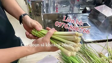 Máy thái sả có chỉnh dày mỏng - bào sả cây, cà rốt, củ cải, bắp cải, hoa chuối đa năng 0976866766