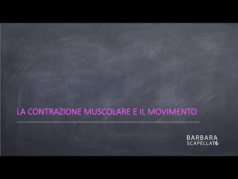 Video: I sussurri di contrazione scompaiono?