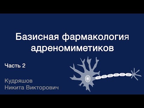 Базисная фармакология адреномиметиков. Часть 2