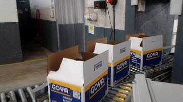 Case Diverting Conveyor System By No Limits Packaging Systems