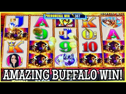 how MANY BONUSES did i get on BUFFALO GOLD?! the bonuses KEPT COMING!
