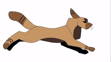 quick cat run cycle - animation practice