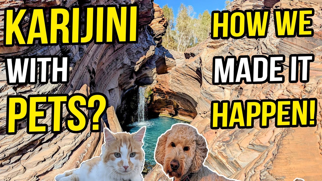 How We Saw ALL of Karijini With Pets – Free & Off Grid! Pet-Friendly Caravanning Travels w Dog & Cat