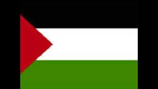 Dabke Falastiniye- Selini