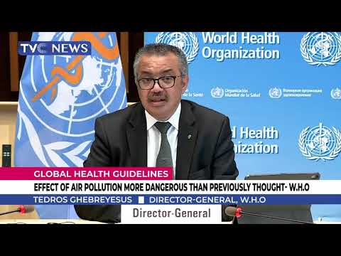 Effect Of Air Pollution More Dangerous Than Previously Thought - W.H.O