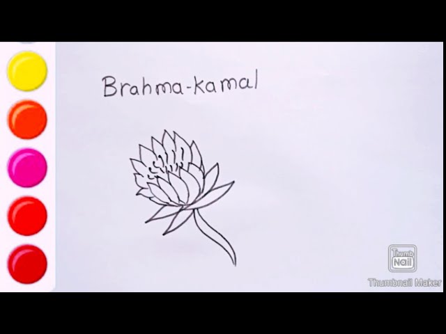 कमल का चित्र बनाना सीखें असानी से | How to Draw a Lotus flower Step by step  very easy, Lotus Drawing - YouTube