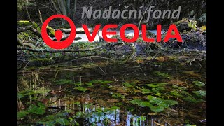 Vraťme vodu přírodě - Mokřady - Nadační Fond VEOLIA