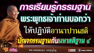 🔴ฟังธรรมวันอาทิตย์ การเรียนรู้กรรมฐาน   #หลวงพ่อสนอง_กตปุญโญ  28เม.ย67