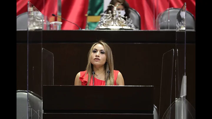 Dip. Ruth Salinas (MC) - Lineamientos emitidos por...