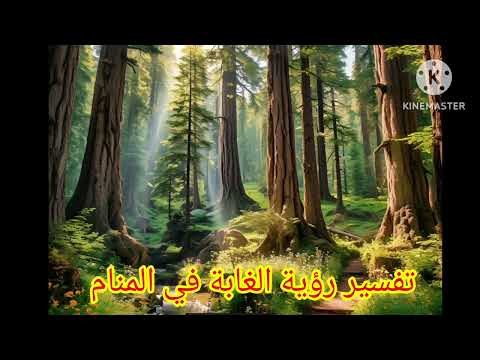 تفسير رؤية حلم الغابة في المنام ابن سرين بتفصيل
