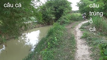 câu cá ,câu trúng ổ cá sau cơn mưa lớn.