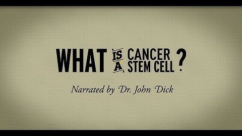 What is a cancer stem cell? Narrated by Dr. John Dick