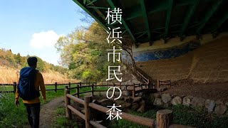 横浜市民の森のデカすぎて迷子になっちゃう! - YouTube