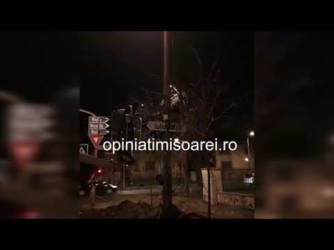 Operatiunea Ghilotina, la Timisoara