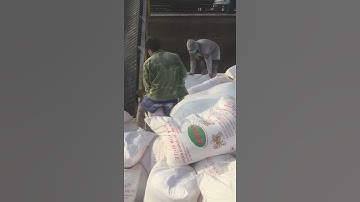 tìm công nhân bốc xếp