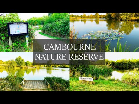 Evening Walk at the Cambourne Nature Reserve in Cambridgeshire, England