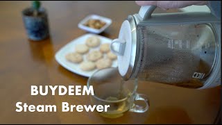 BUYDEEM K156 Electric Steam Brewer Review