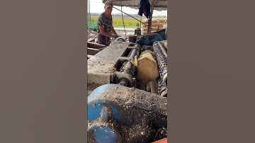 Tree straightness polishing process  Good tools and machinery make work easy