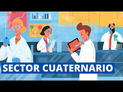 ¿Qué es el Sector CUATERNARIO? (Actividades Económicas y Ejemplos)👨‍💻📈