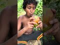 A wood apple inside a green coconut.🌴 #food #eating #junglelife #viral #fruit #nature