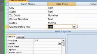 54 Use the Currency Data Type in Access 2007