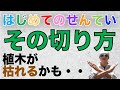 その切り方植木枯れます［4種類の道具と枯れない切り方］