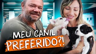 ESSES SÃO OS CÃES MAIS FOFOS QUE VOCÊ VAI VER HOJE! | RICHARD RASMUSSEN