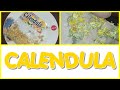 CALENDULA