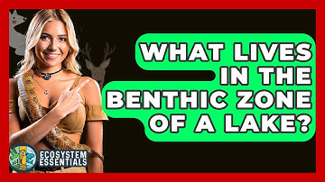 What Lives In The Benthic Zone Of A Lake? - Ecosystem Essentials