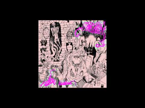 Leechfeast — Leechfeast - Evolving