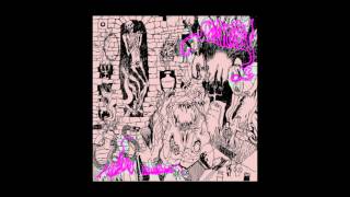 Leechfeast - Evolving