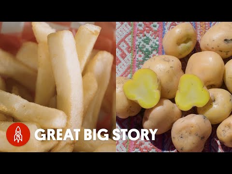 Video: All About Potatoes