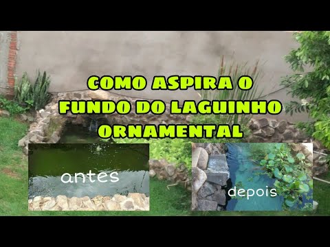 Vídeo: Como remover a sujeira de um lago?