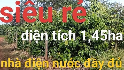 Cần bán gấp vườn cà phê xen sr và tiêu lh0989542322