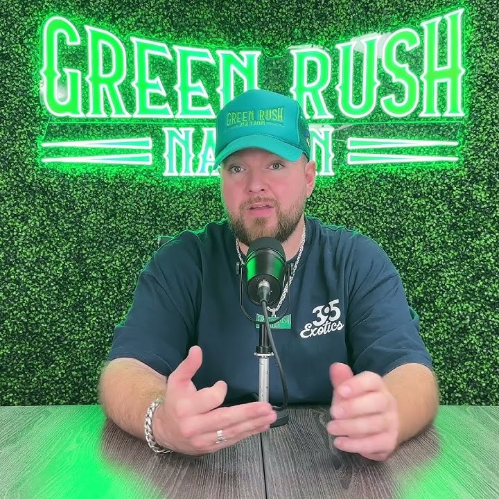 🌿 WHO Gives  Name to Syndrome Caused by Heavy Cannabis Use — Here’s What to Know 🤢🔥