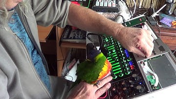 EURORACK MODATRON AND SKITTLES