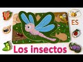 Los insectos para niños de preescolar. Juguetes para bebé: rompecabezas. Dibujo animado en español